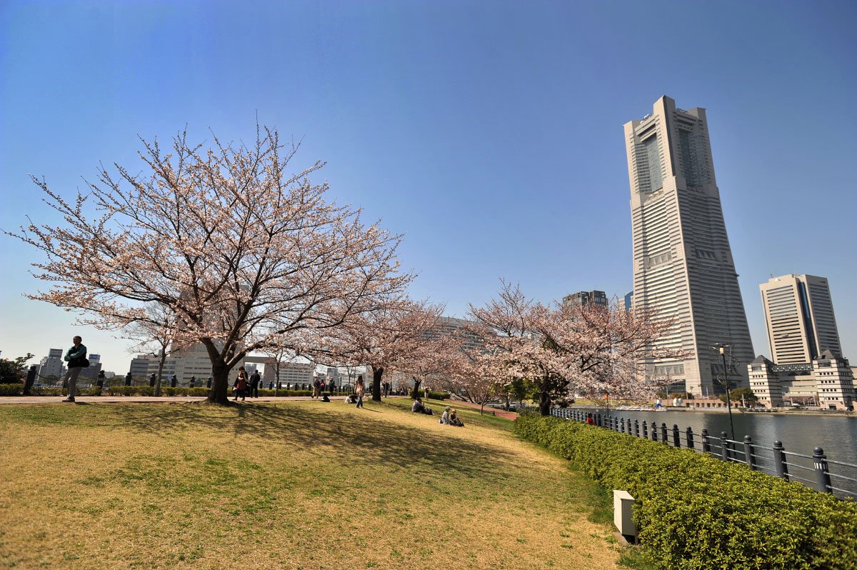 🏞️ 운하 파크(운가 파크) 이미지 8